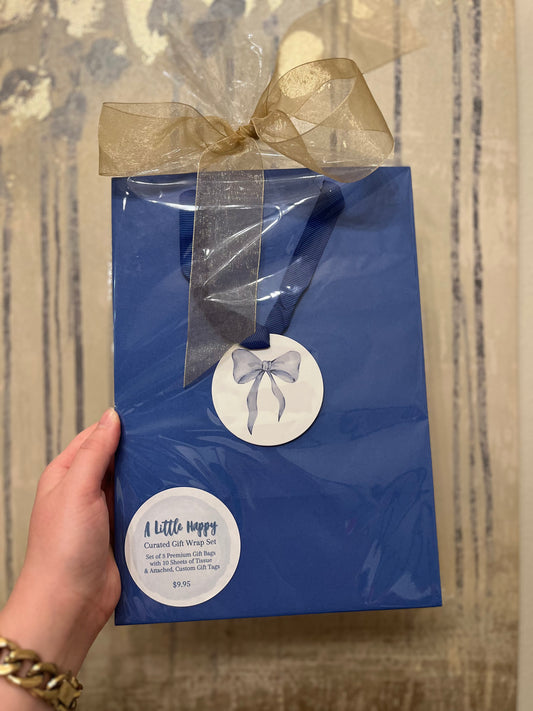 Blue Bow Gift Bag Set