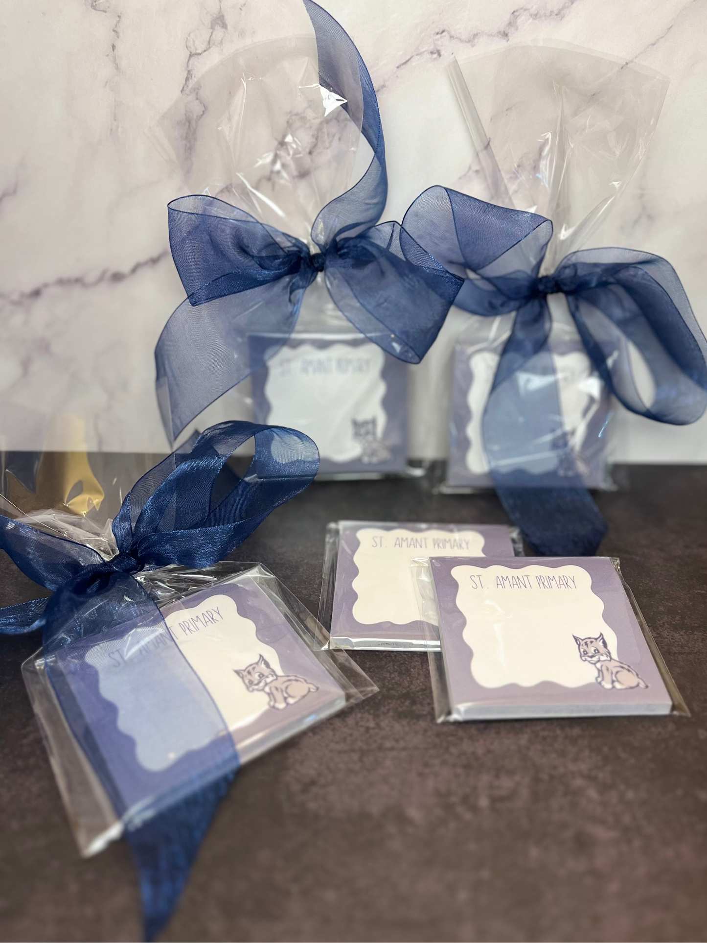 St. Amant Primary Sticky Notes