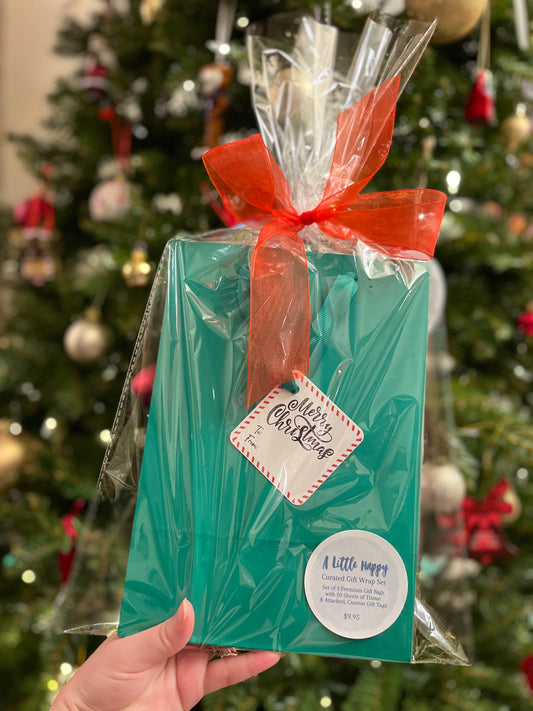 Candy Cane Christmas Gift Bag Set - Green Bag with Red Tissue Paper