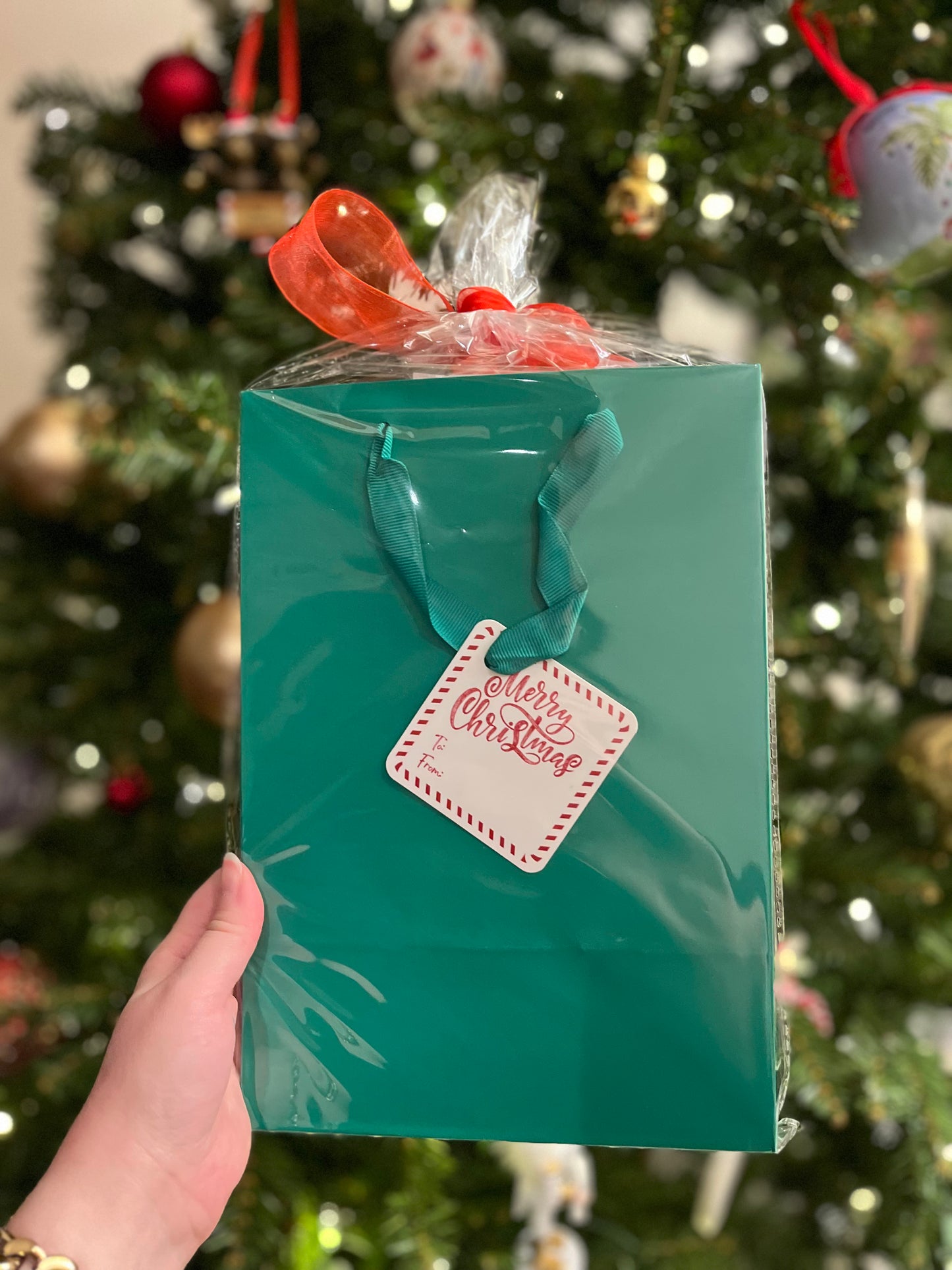 Merry Christmas Gift Bag Set - Mixed Set