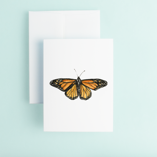 Monarch Butterfly