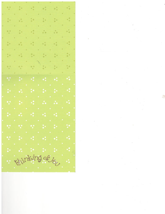 Little Birdy Thinking of You Card