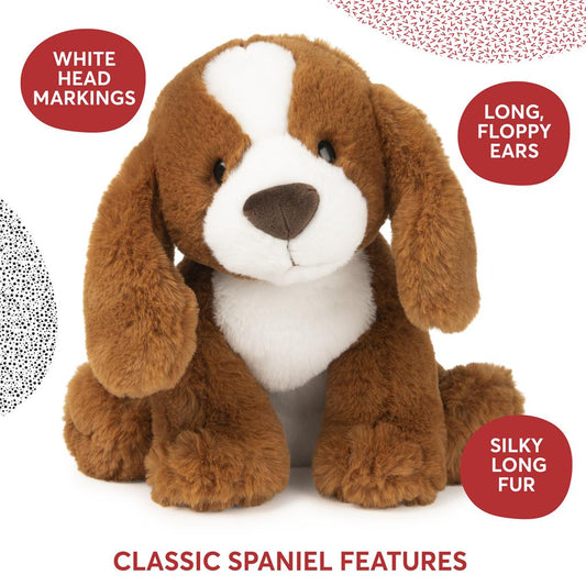 Kian Spaniel Puppy