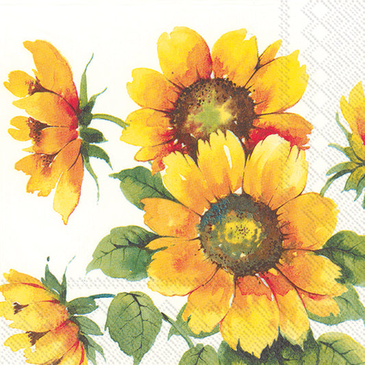Colourful Sunflowers - Cocktail Napkins