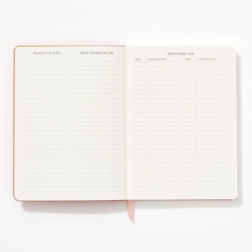 Light Pink Suede Journal