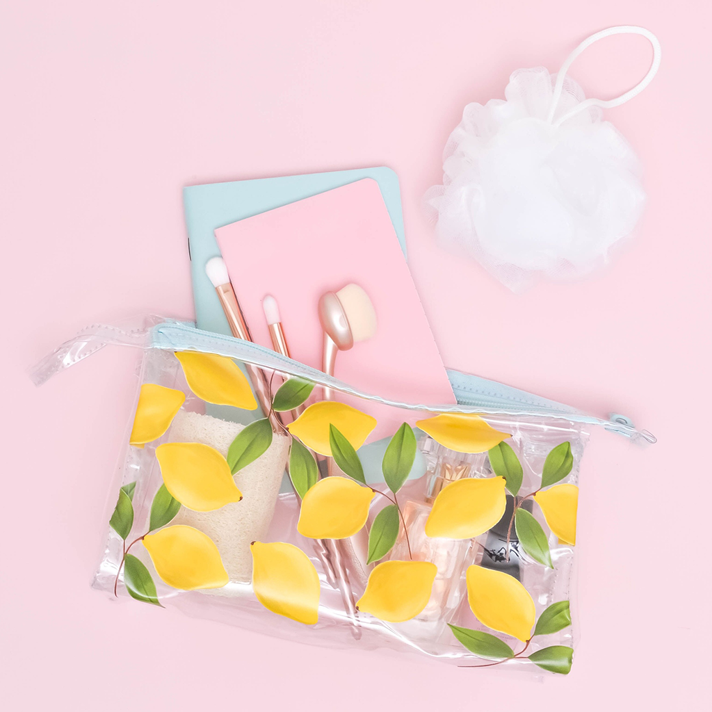 Jetsetter Squeeze the Day Pouch