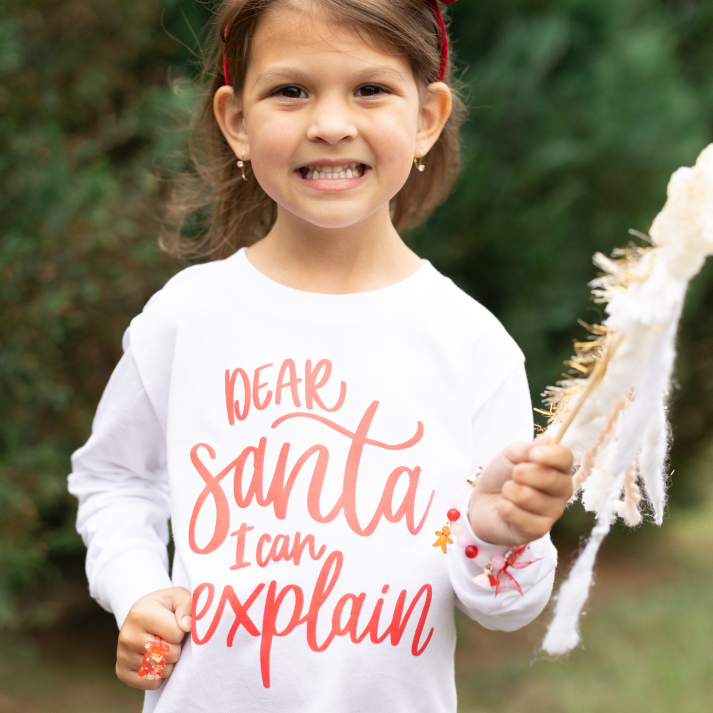 Dear Santa I can Explain