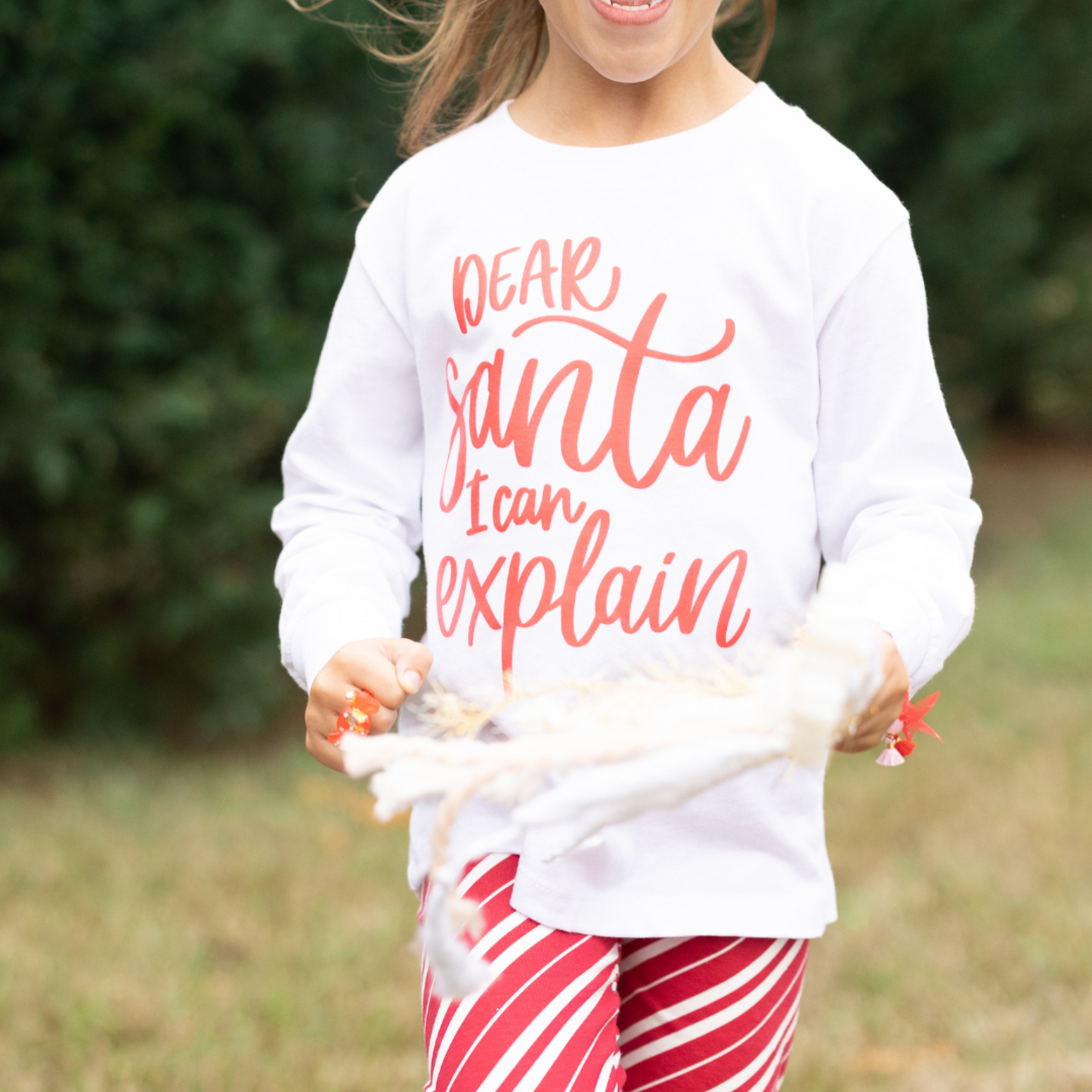 Dear Santa I can Explain