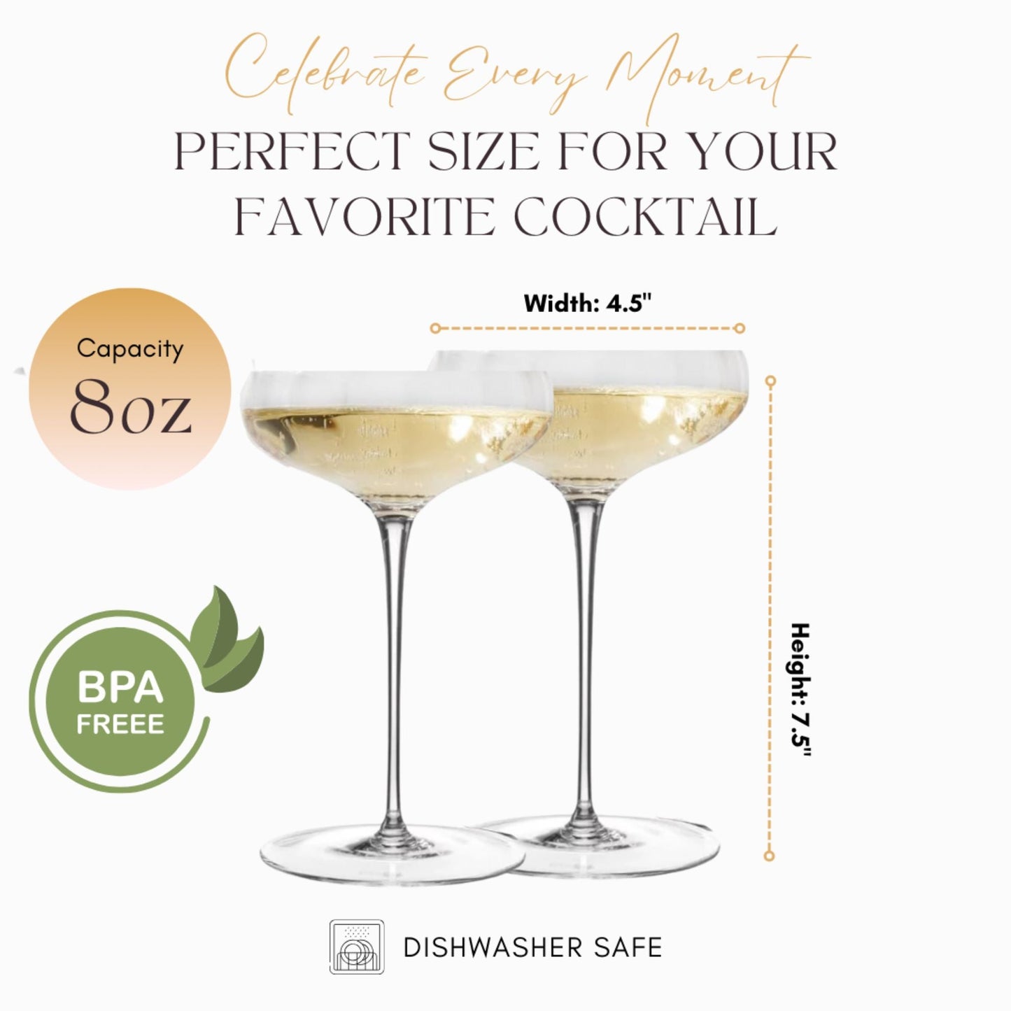 Rounded Coupe Glasses