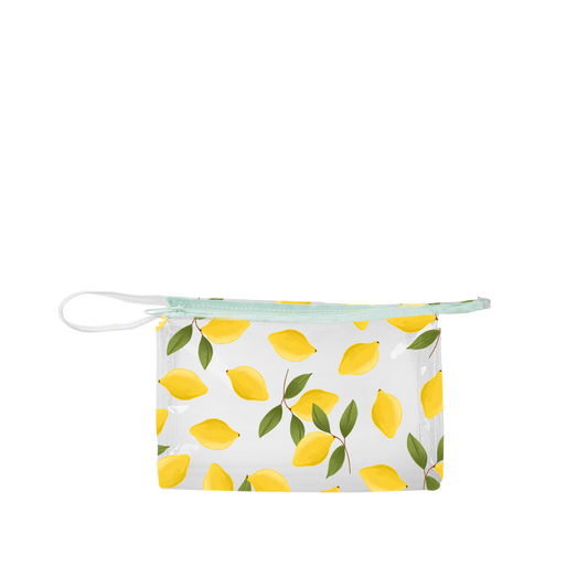Jetsetter Squeeze the Day Pouch