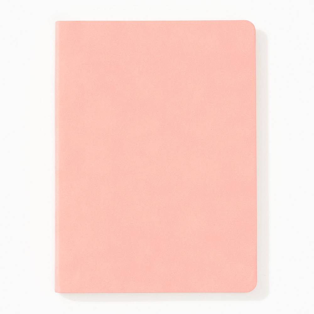 Light Pink Suede Journal