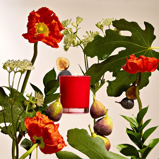 Fig and Olive Leaf Petite Candle