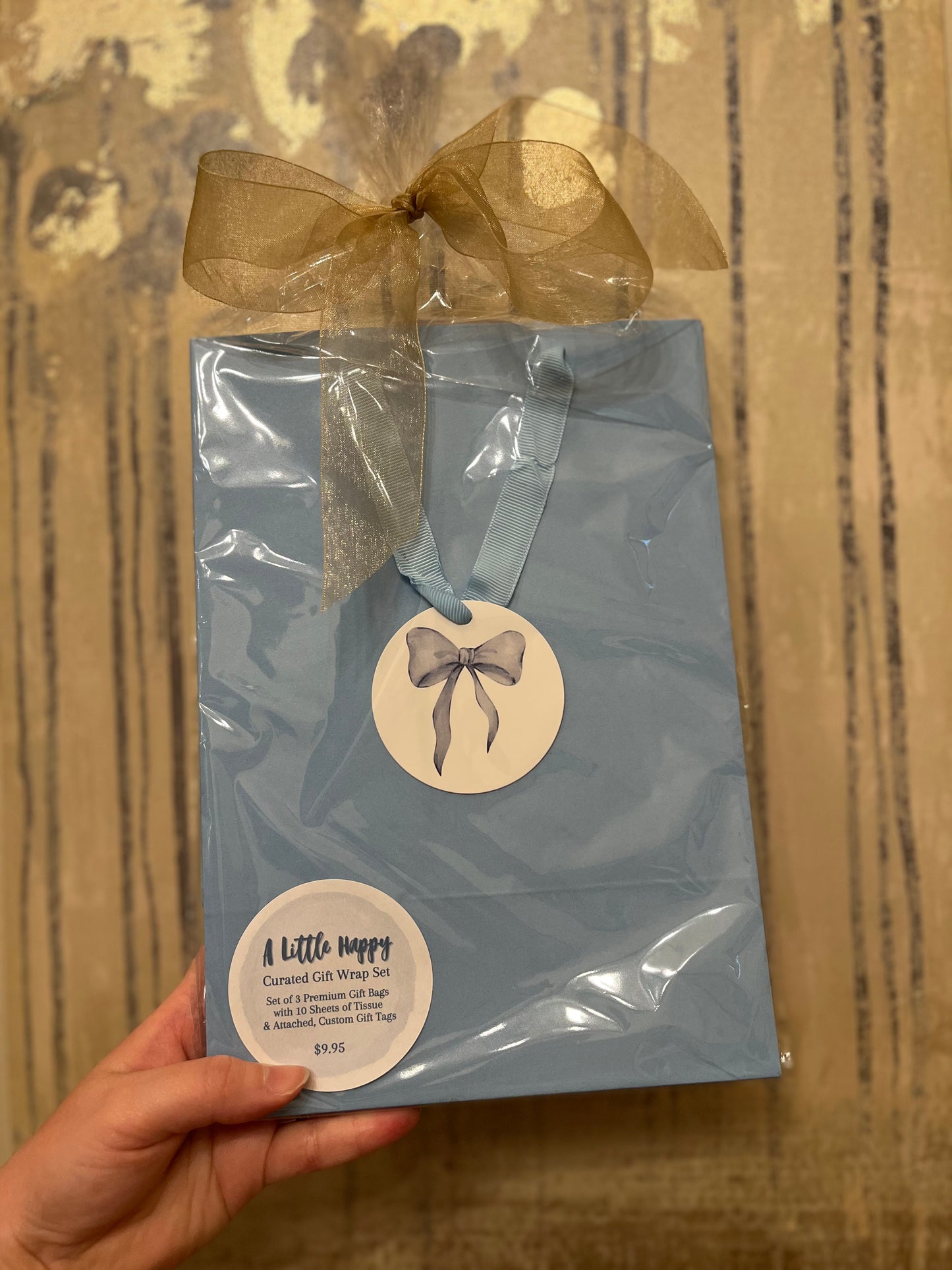 Blue Bow Gift Bag Set