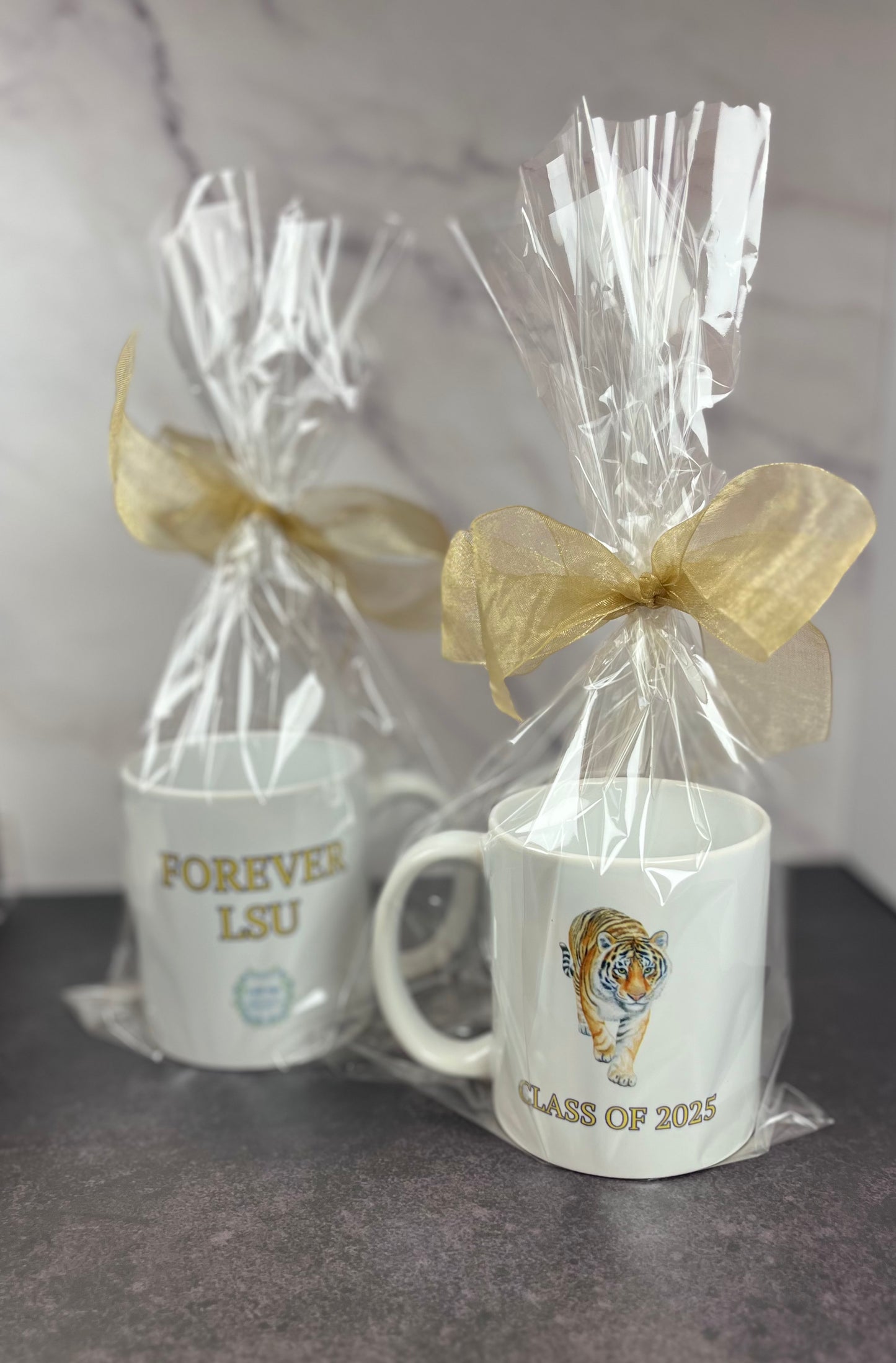 Class of 2025 Coffee Mug