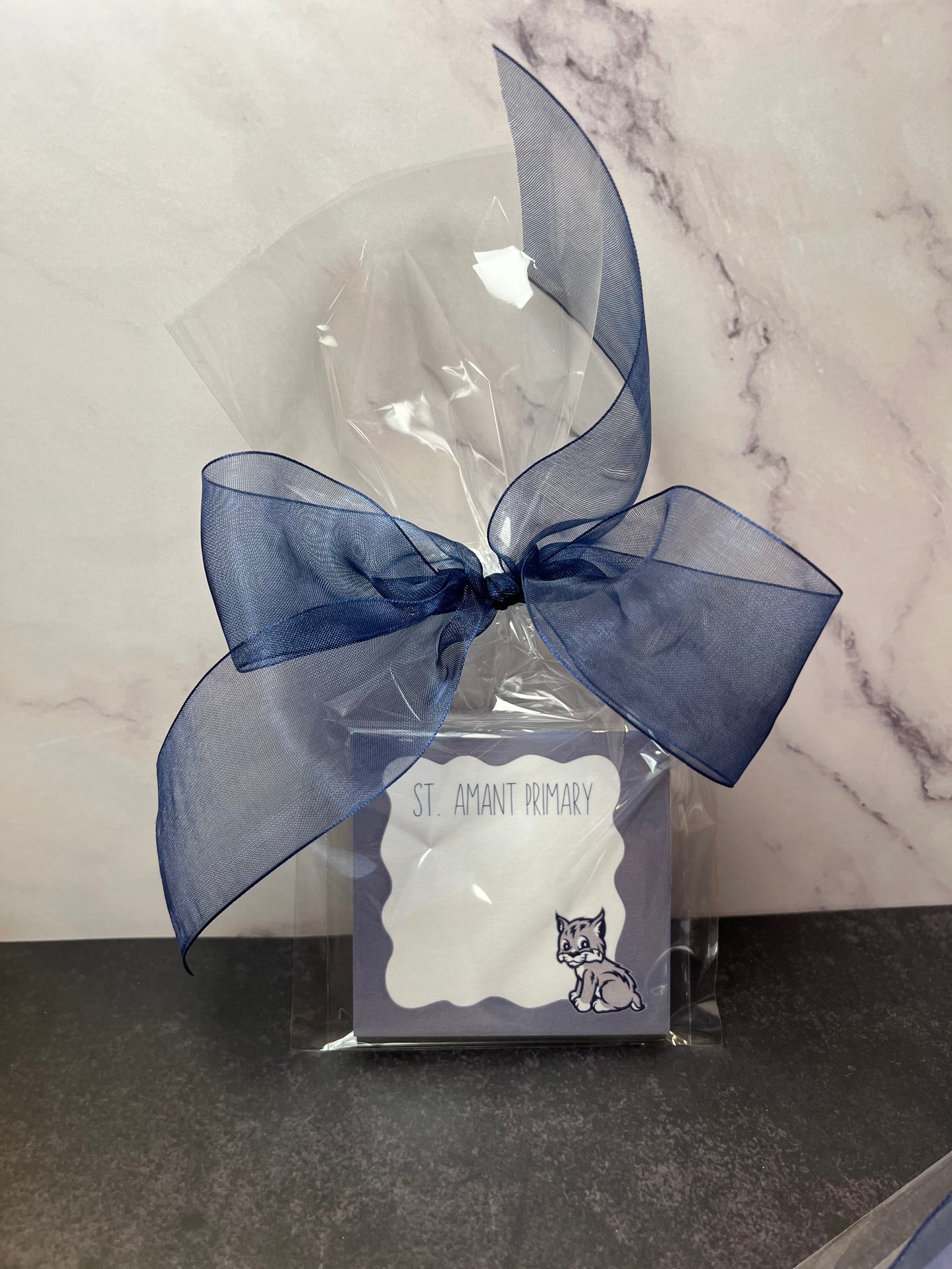 St. Amant Primary Sticky Notes