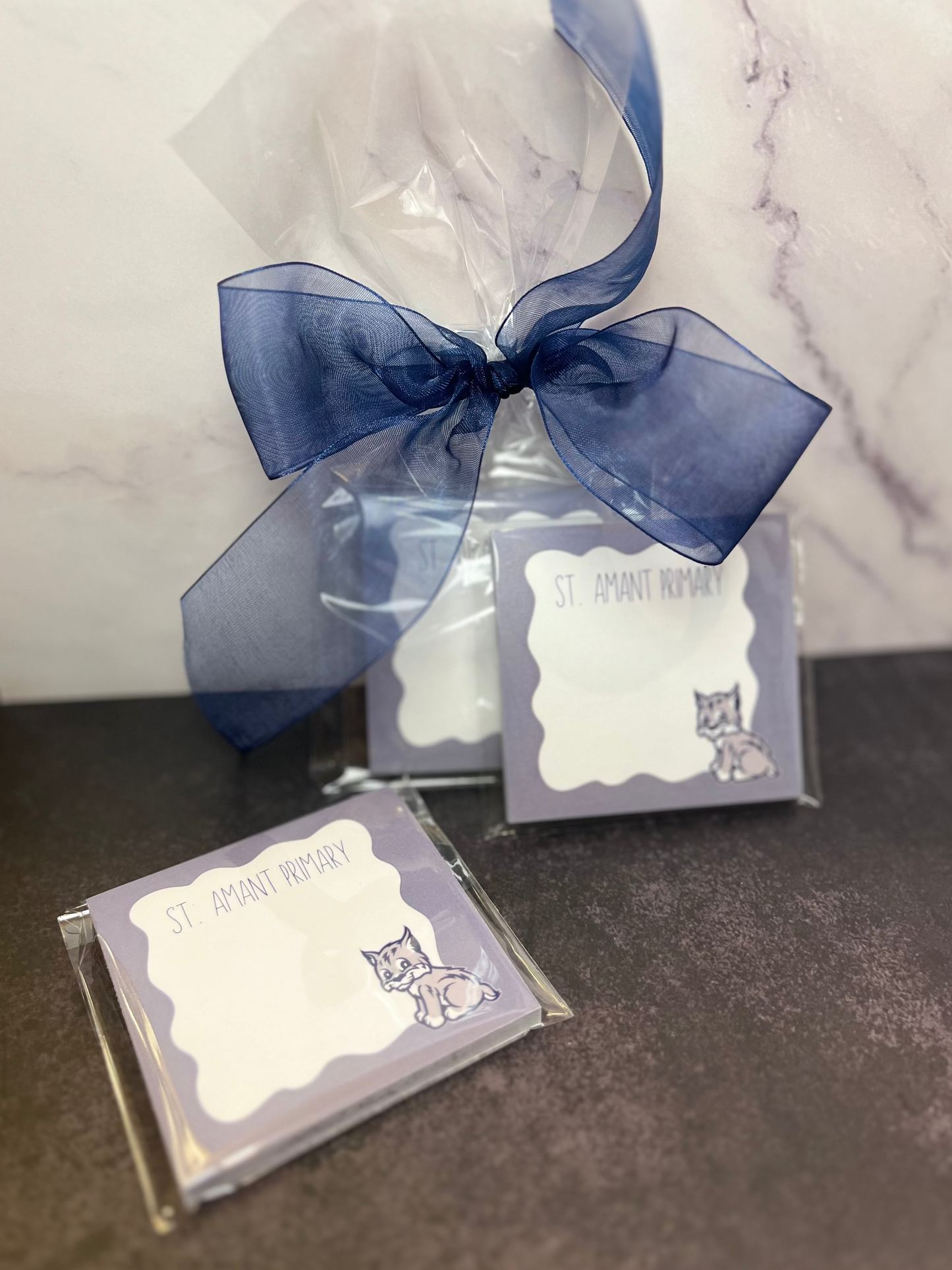 St. Amant Primary Sticky Notes