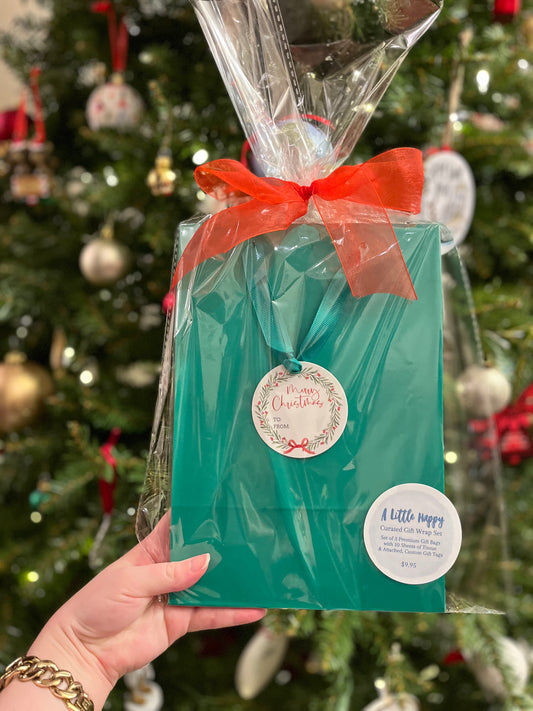 Christmas Greenery with Red Bow Gift Bag Set