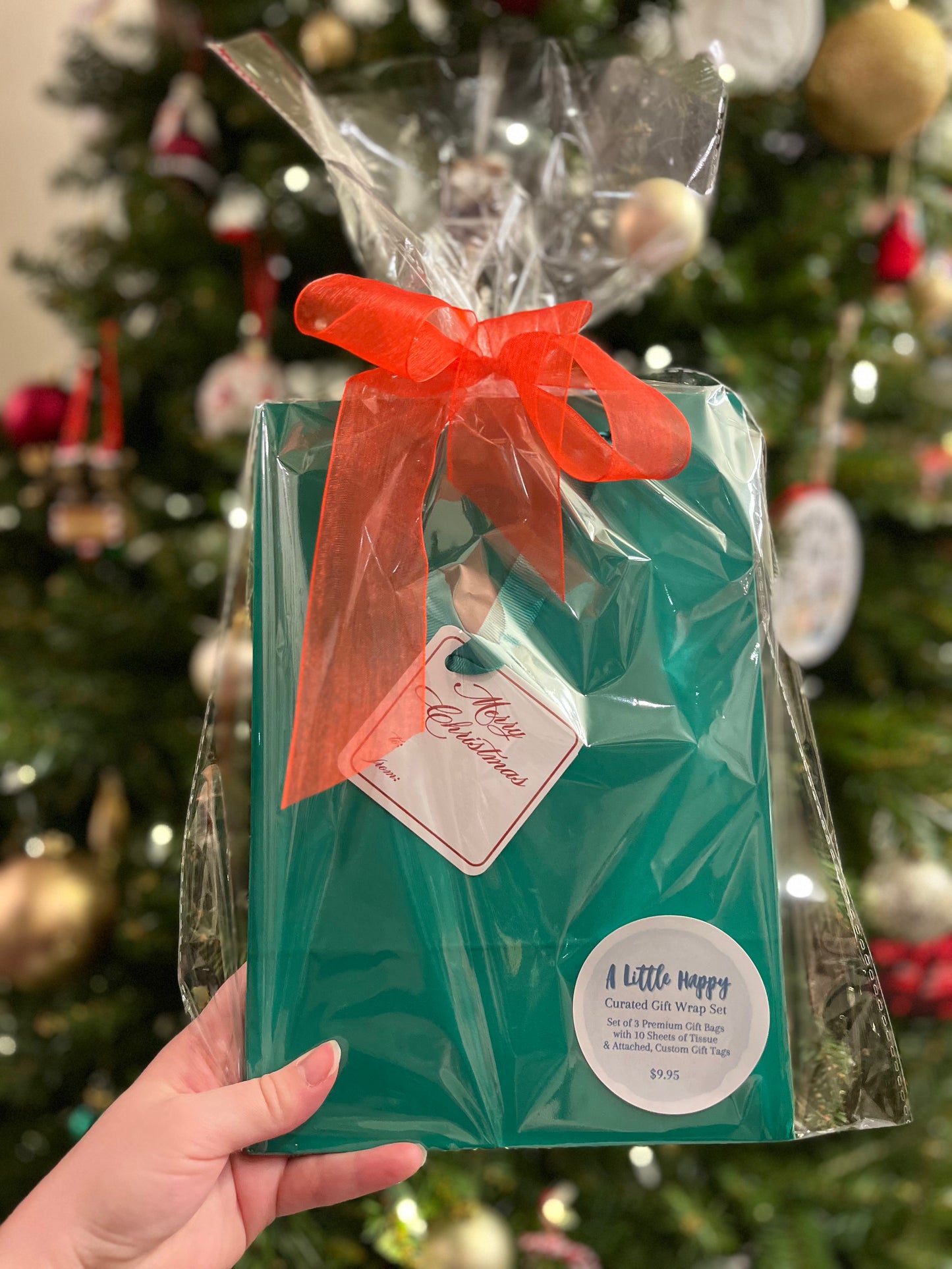 Merry Christmas Gift Bag Set