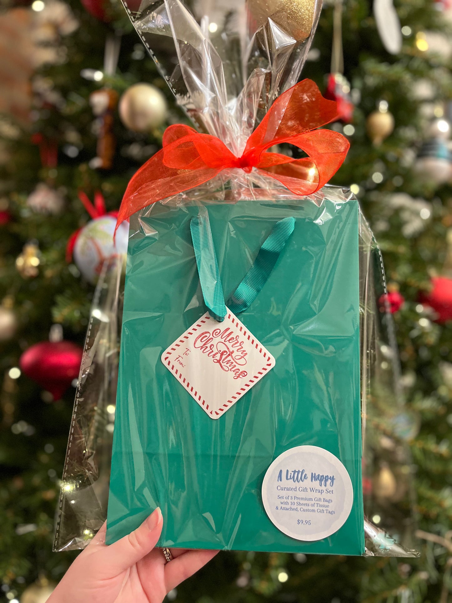 Merry Christmas Gift Bag Set - Red and Green