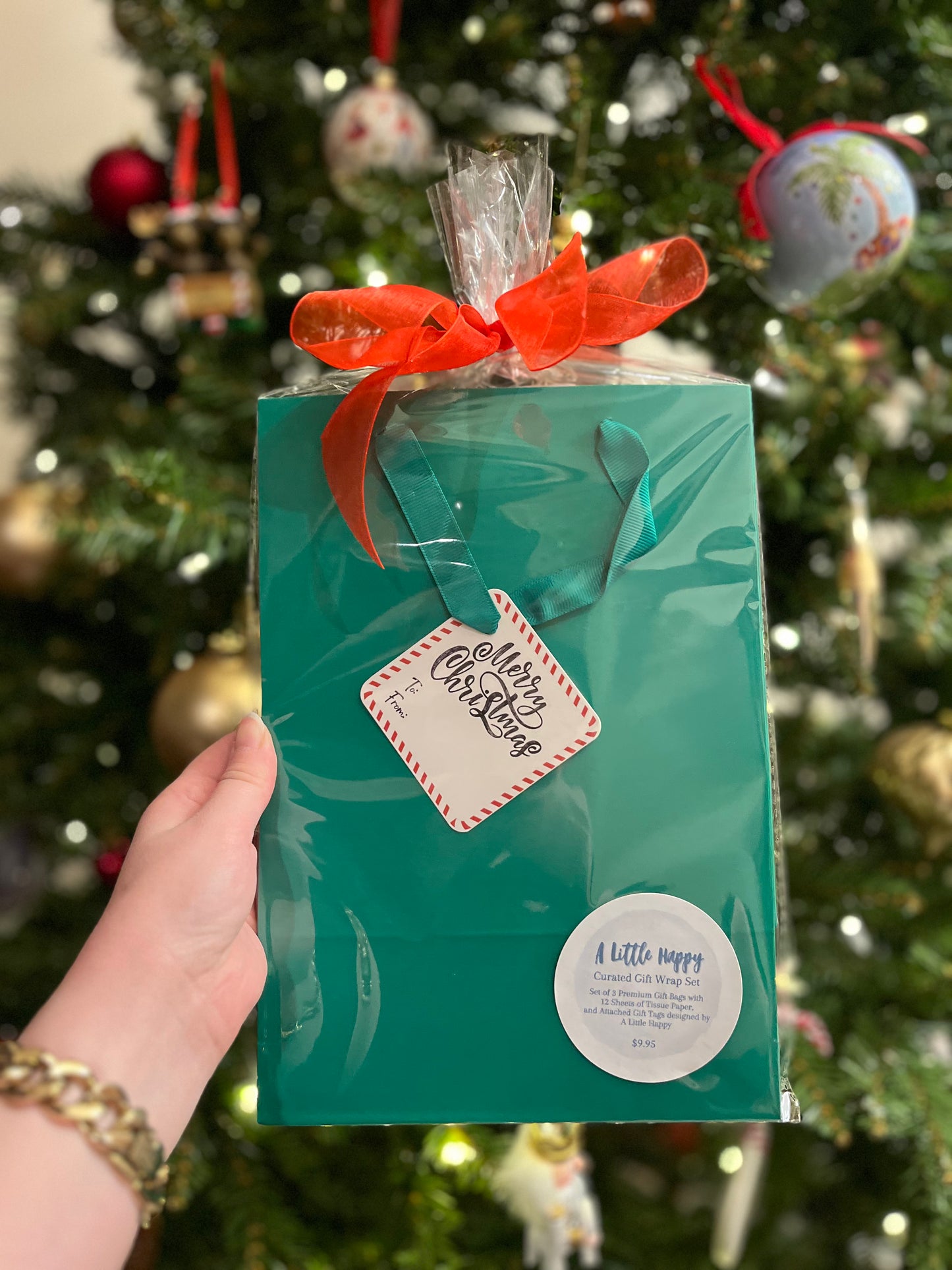 Merry Christmas Gift Bag Set - Mixed Set