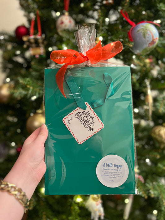 Merry Christmas Gift Bag Set - Mixed Set