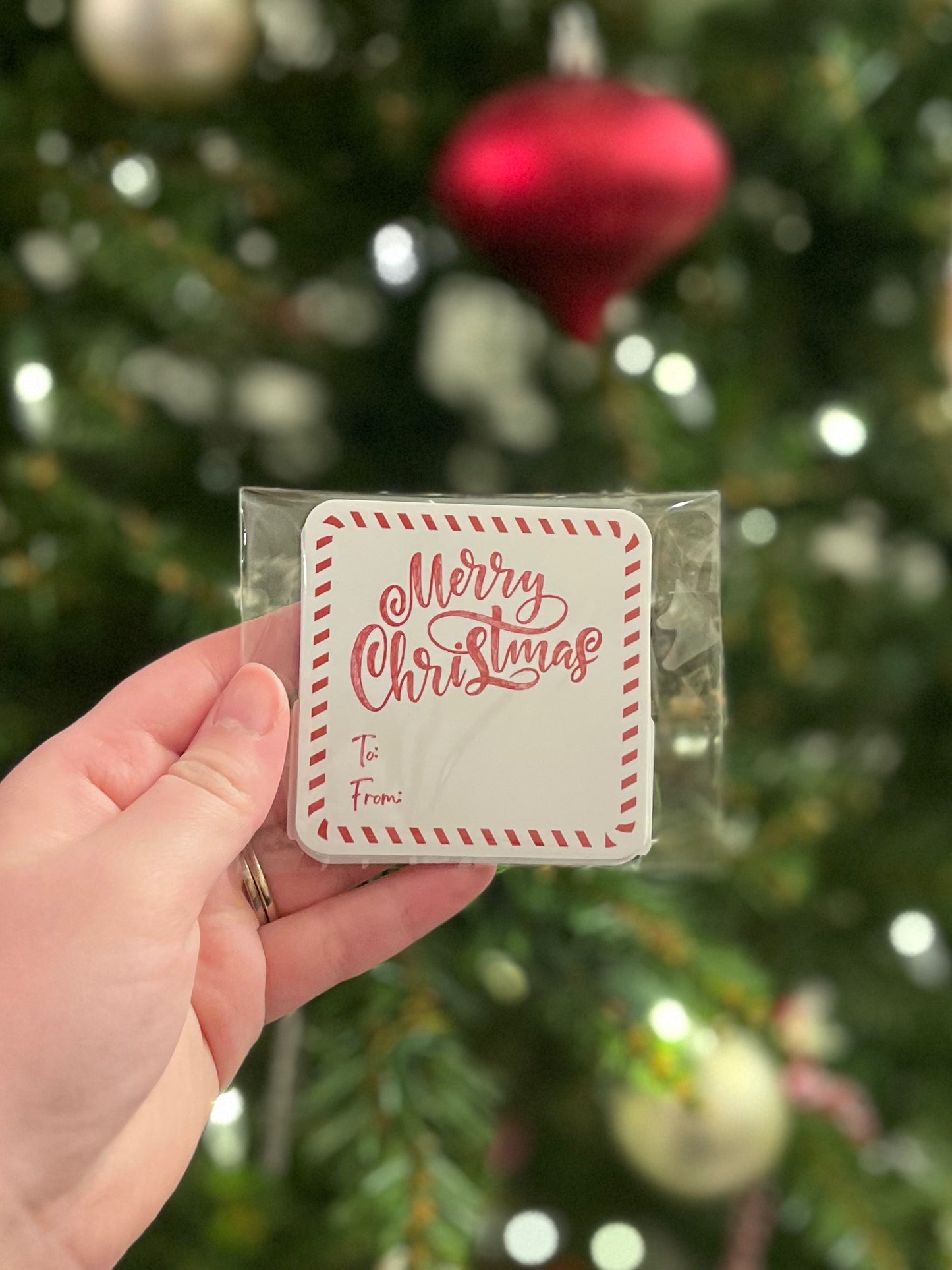 Merry Christmas Candy Cane Gift Tags in Red - Set of 10