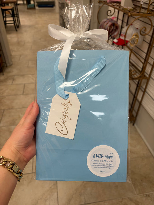 "Congrats" Gift Bag Set