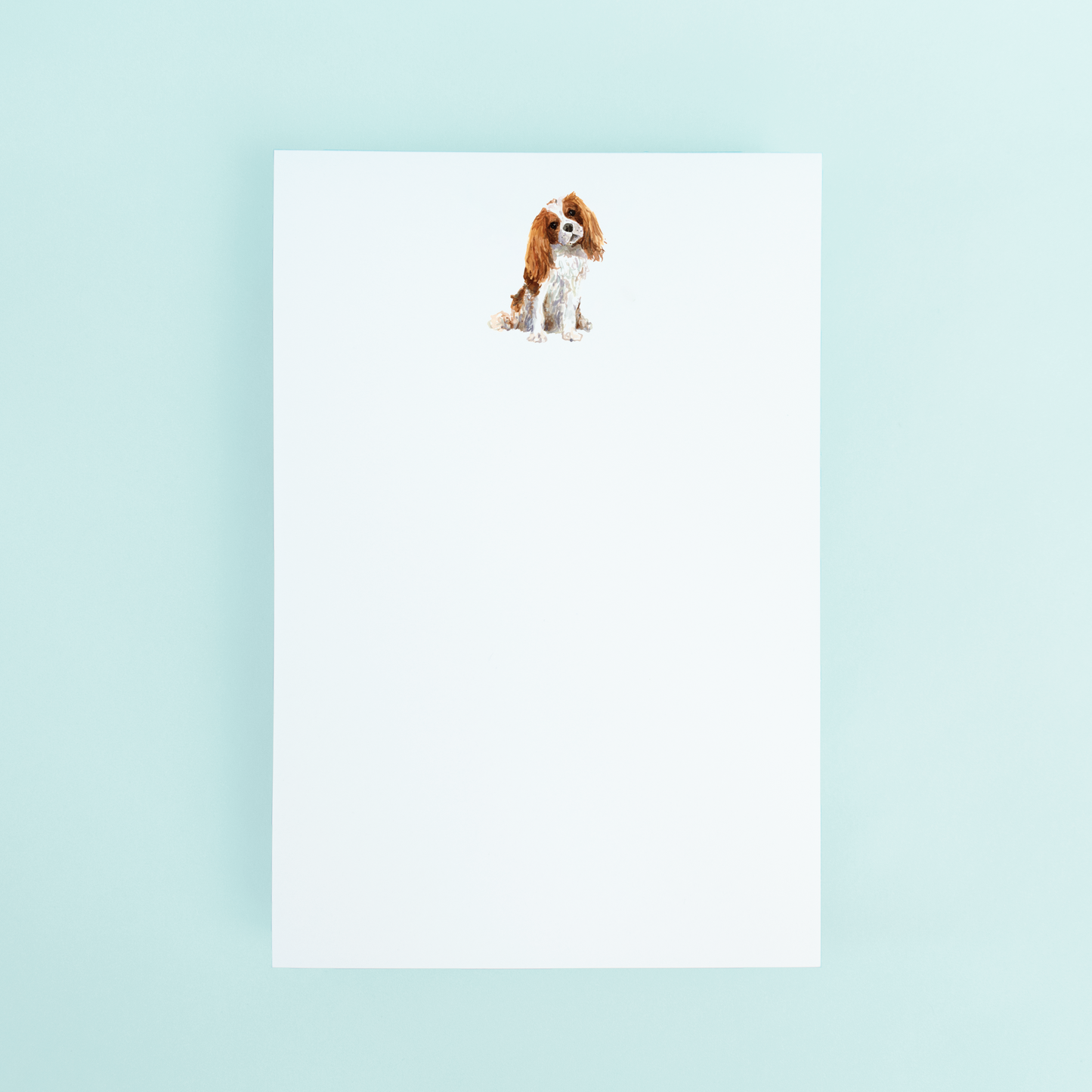 Cavalier King Charles