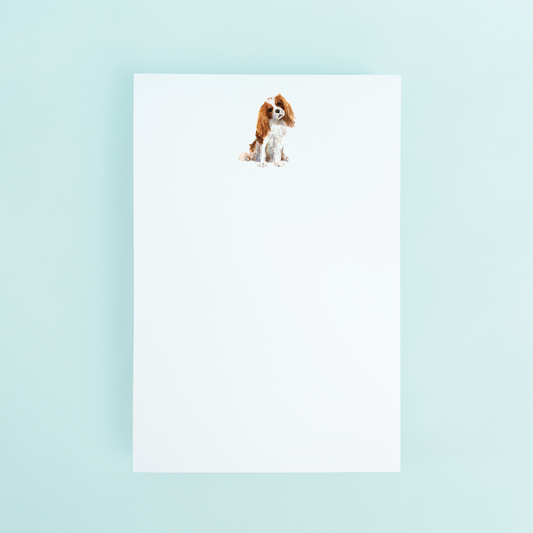 Cavalier King Charles