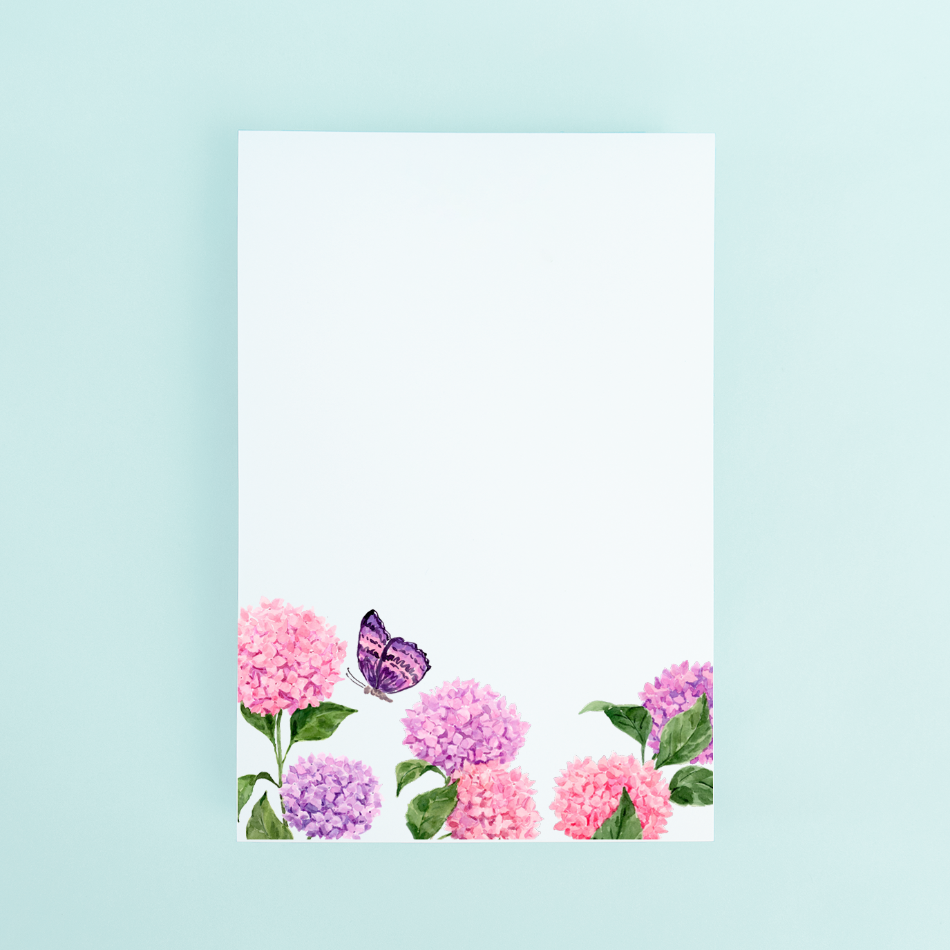 Pink And Purple Hydrangea