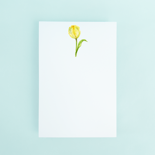 Yellow Tulip