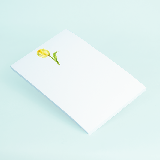 Yellow Tulip