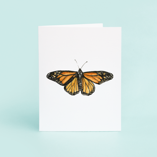 Monarch Butterfly