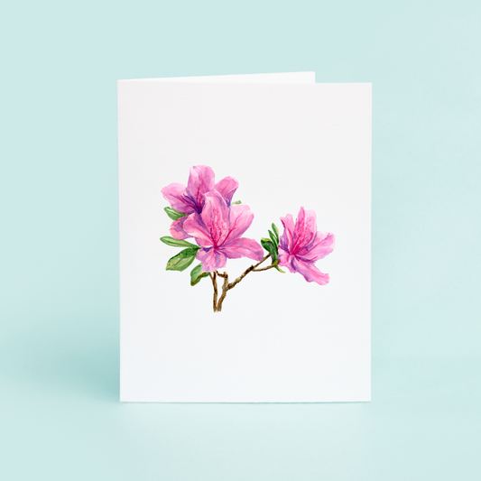 Azaleas