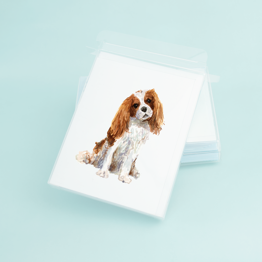 Cavalier King Charles