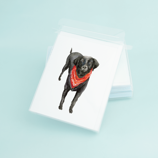 Black Lab