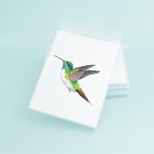 Hummingbird