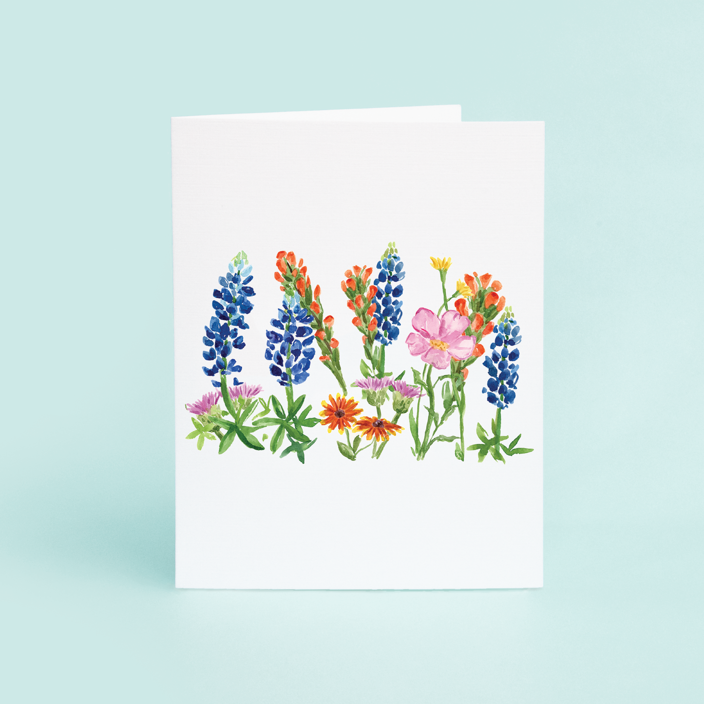 Texas Wildflowers