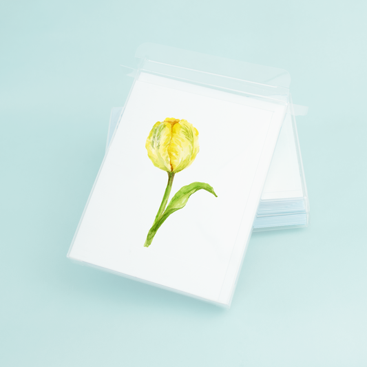 Yellow Tulip