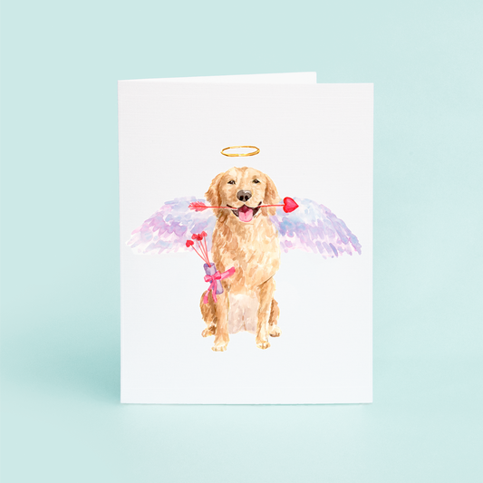 Cupid Golden Retriever