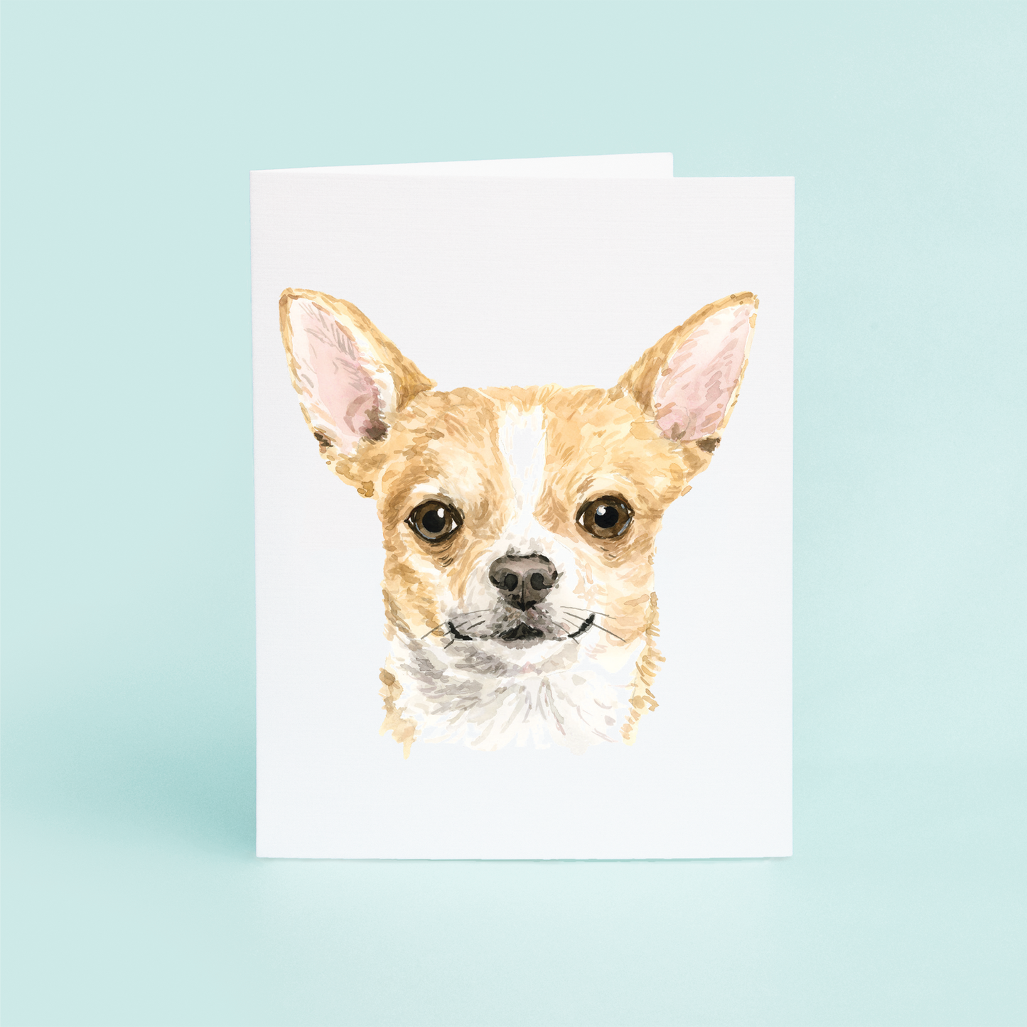 Chihuahua Portrait