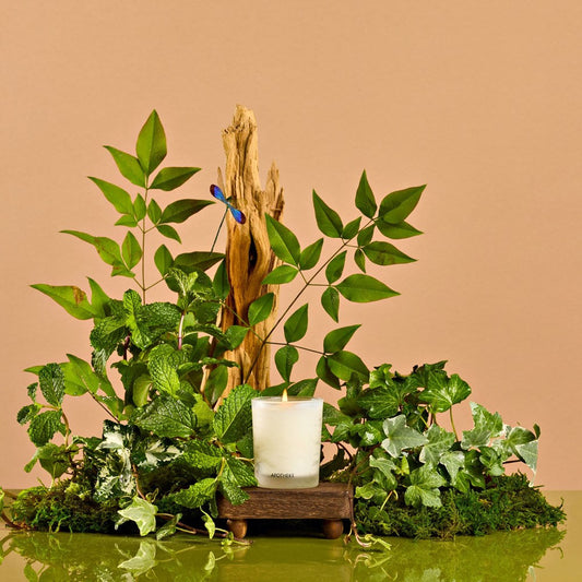 Wild Mint and Ivy Votive Candle