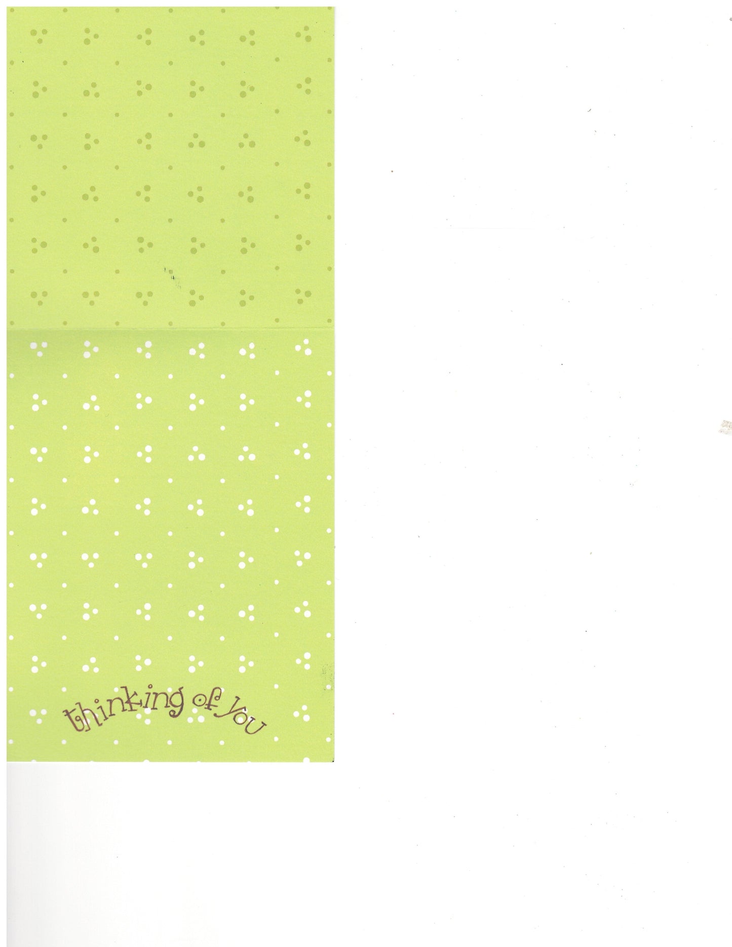 Little Birdy Thinking of You Card