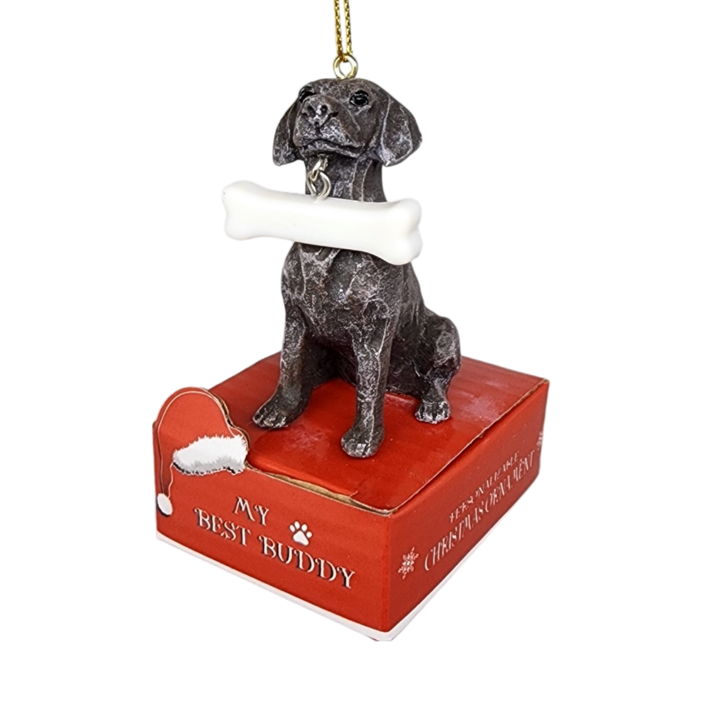 German Shorthaired Pointer with Bone Ornament