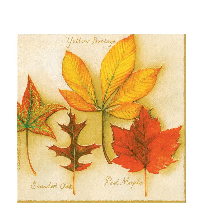 Paper Cocktail Napkin - Autumn Leaves - Cream