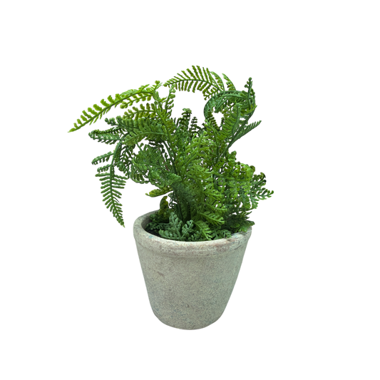 Faux  Boston Fern in Cement Pot