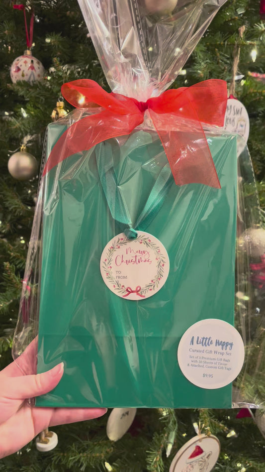 Christmas Greenery with Red Bow Gift Bag Set