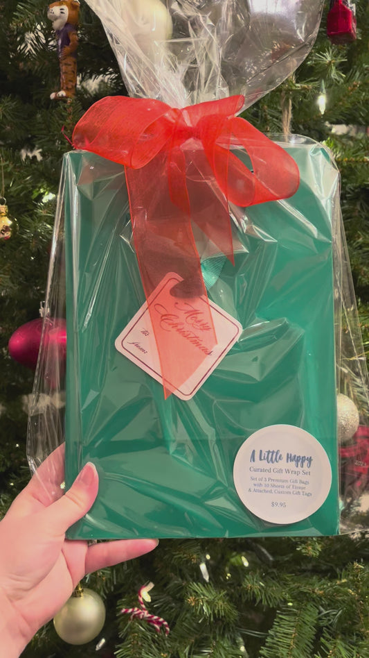 Merry Christmas Gift Bag Set