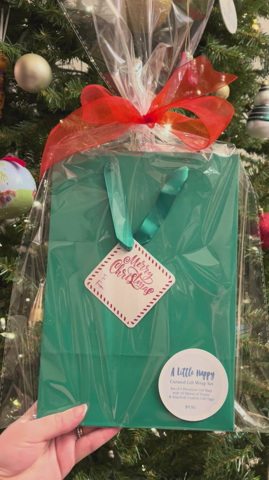 Merry Christmas Gift Bag Set - Red and Green