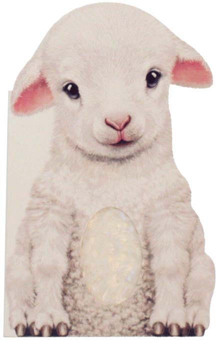 Furry Lamb Board Book